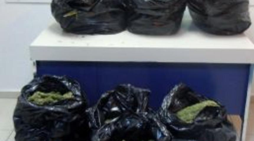 Aksaray&rsquo;da Esrar Operasyonu