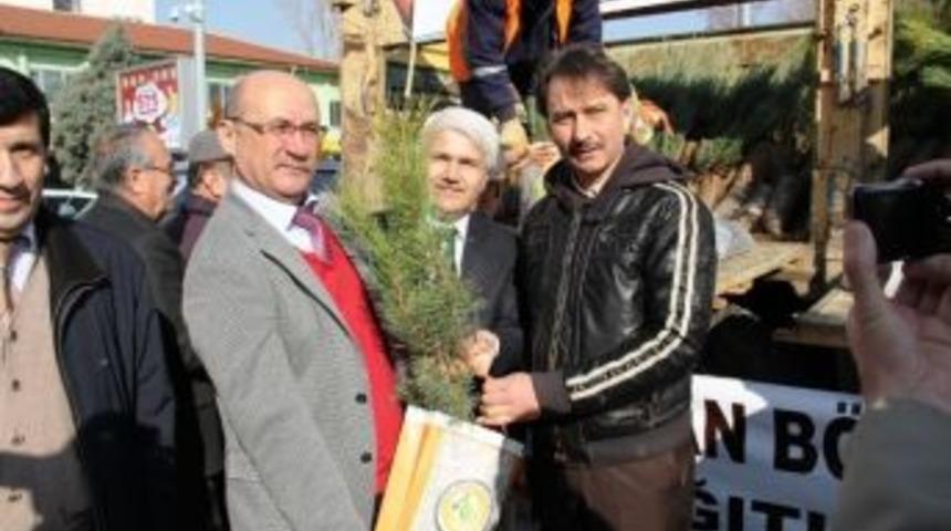 Ka&ccedil;ak Ağa&ccedil; Kesimine &Ouml;nlem "&uuml;cretsiz Fidan"