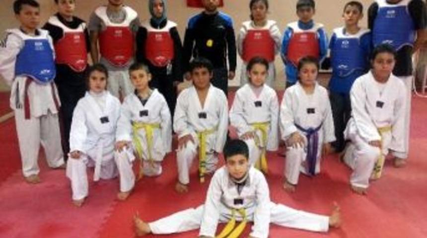 Şahinbey Belediye Spor Tekvando İl Se&ccedil;melerinde 4 Madalya Birden Aldı