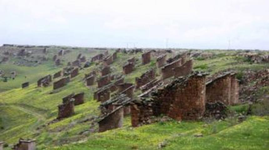 Gesi B&ouml;lgesi Botanik Park Oluyor