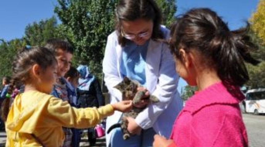 Odunpazarı Belediyesi 2 Bin Sokak Hayvanını Sıcak Yuvaya Kavuşturdu