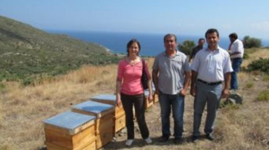 Muğla'da Organik Bal &Uuml;reticileri Sertifikalanıyor