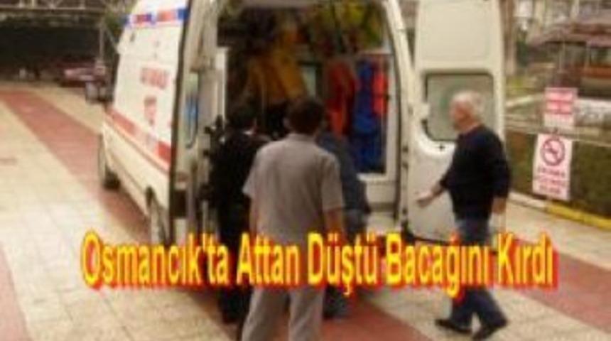 Osmancık'ta Attan D&uuml;şt&uuml; Bacağını Kırdı