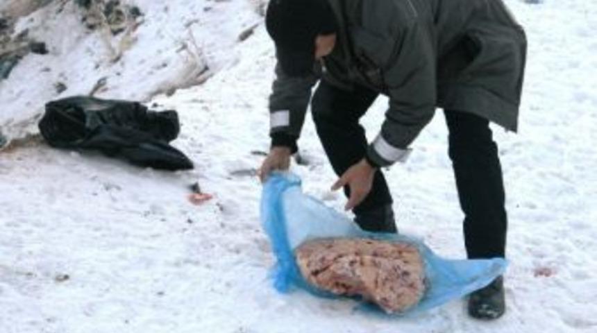 Doğaya Yem Bırakıldı