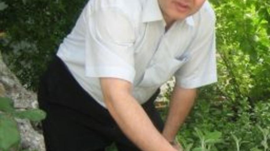 Ege Lokman'dan Pankreas Kanserine Karşı Tavsiye