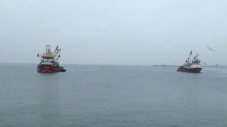 İstavritler, Balık&ccedil;ıları Peşinden Tekirdağ'a Getirdi