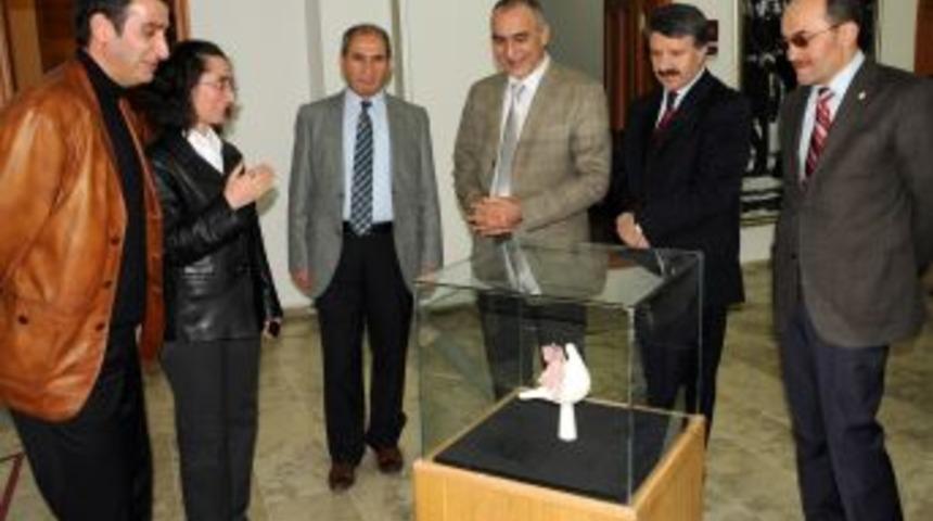 A&Uuml; GSF&rsquo;de 'Kavuşma' Sergisi