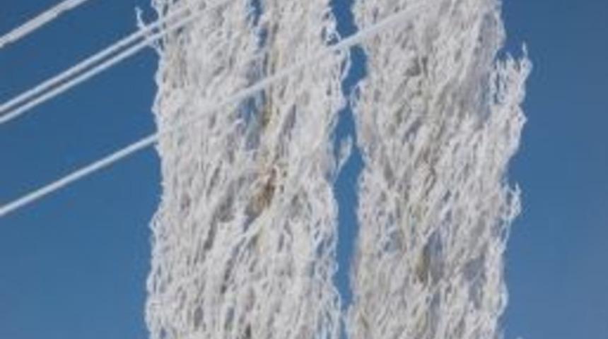 Van&rsquo;da Ağa&ccedil;lar Buz A&ccedil;tı