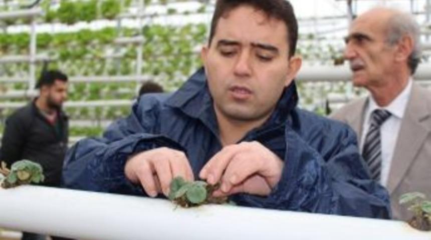 Altınova Kaymakamı Nurullah Kaya: