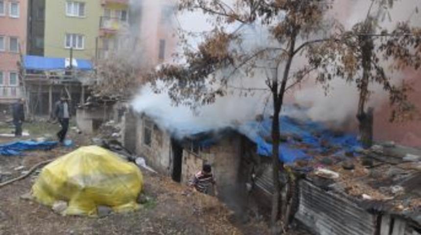 Tunceli'deki Yangında Iki Inek Son Anda Kurtarıldı