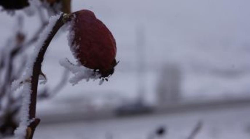 Erzurum'da G&ouml;r&uuml;ş Mesafesi 20 Metreye D&uuml;şt&uuml;