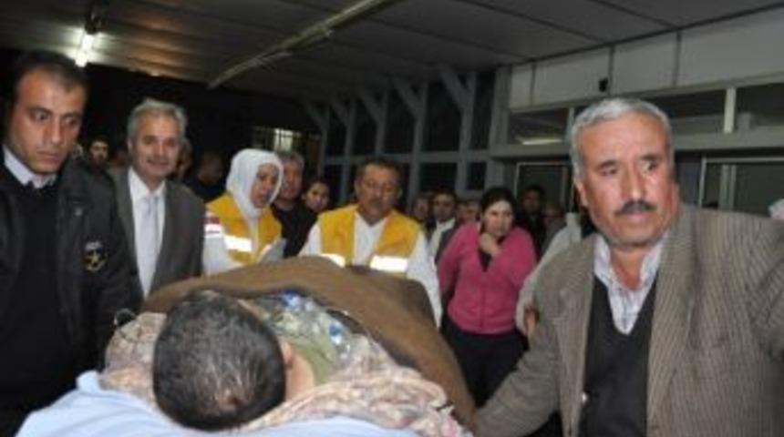 &Ccedil;am Ağacının Altında Kalan K&ouml;y Muhtarı Yaralandı