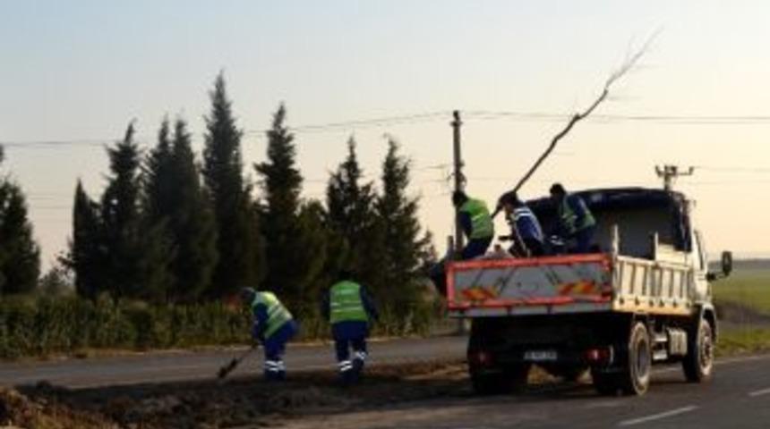 &Ccedil;orlu'da Ağa&ccedil;landırma &Ccedil;alışmaları Devam Ediyor