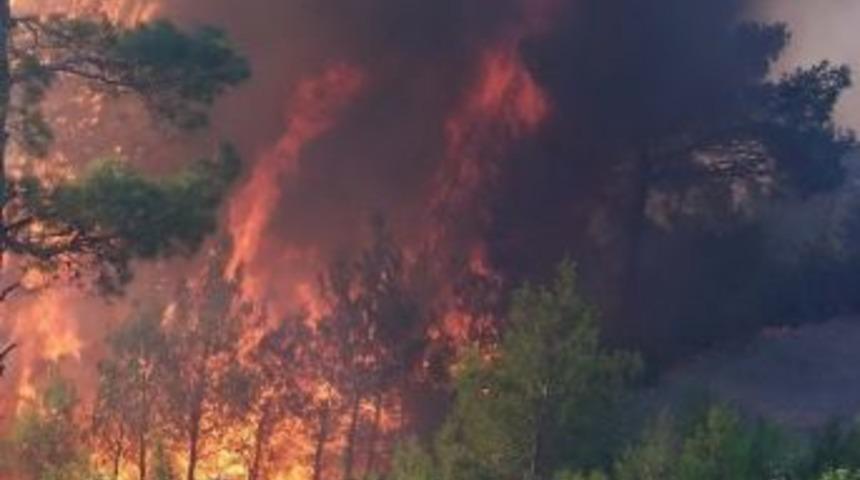 Mersin&rsquo;de 2013&rsquo;te 509 Hektar Ormanlık Alan Yangından Zarar G&ouml;rd&uuml;