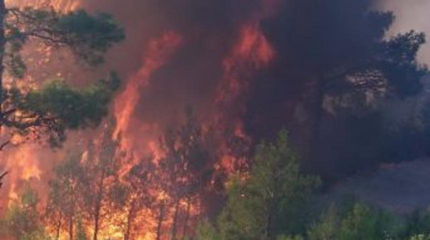 Mersin'de Ge&ccedil;en Yıl &Ccedil;ıkan 987 Yangında 509 Hektar Alan Yandı