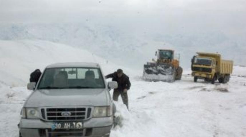 3500 Rakımda At Kurtarma Operasyonu