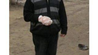 Aç Kalan Kurtlar 4 Köylüyü Yaraladı