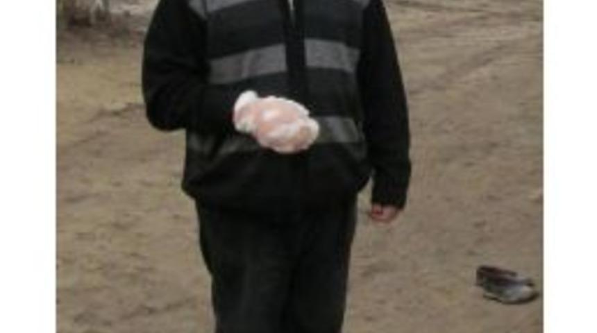 Aç Kalan Kurtlar 4 Köylüyü Yaraladı