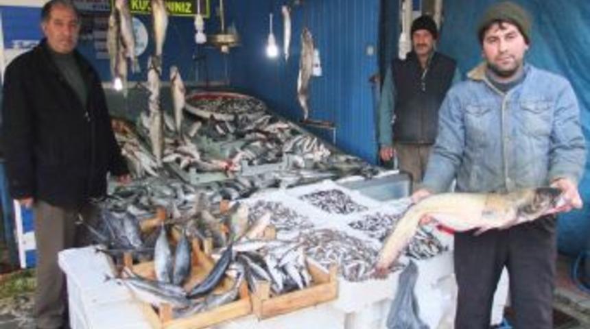 Barajın Bereketi Balık&ccedil;ı Tezgahlarına Yansıdı