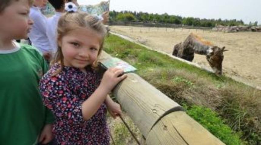 Doğal Yaşam&rsquo;a Ziyaret&ccedil;i Rekor: 79 Kentin N&uuml;fusunu Aştı