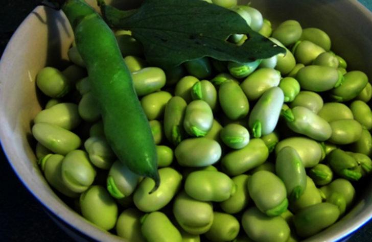 Böbrek dostu baklanın faydaları