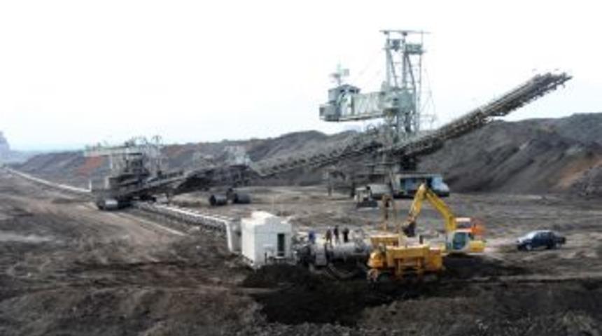 Olgunlaşmamış K&ouml;m&uuml;r Olarak Bilinen 'gidya' Toprak Kalitesini Artıyor