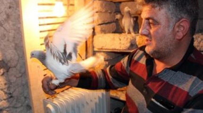 Ağrılı Vatandaşın G&uuml;vercin Sevgisi