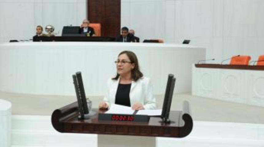 CHP&rsquo;li Kaleli, İznik G&ouml;l&uuml; &Ccedil;evresine Fabrika Izni Verilmesini Meclis'e Taşıdı