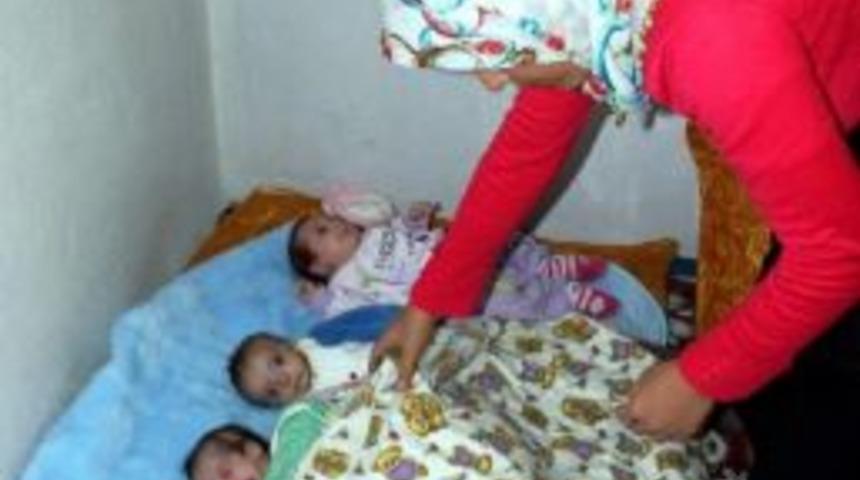 Babasız D&uuml;nyaya Gelen D&ouml;rd&uuml;zler Yardım Bekliyor