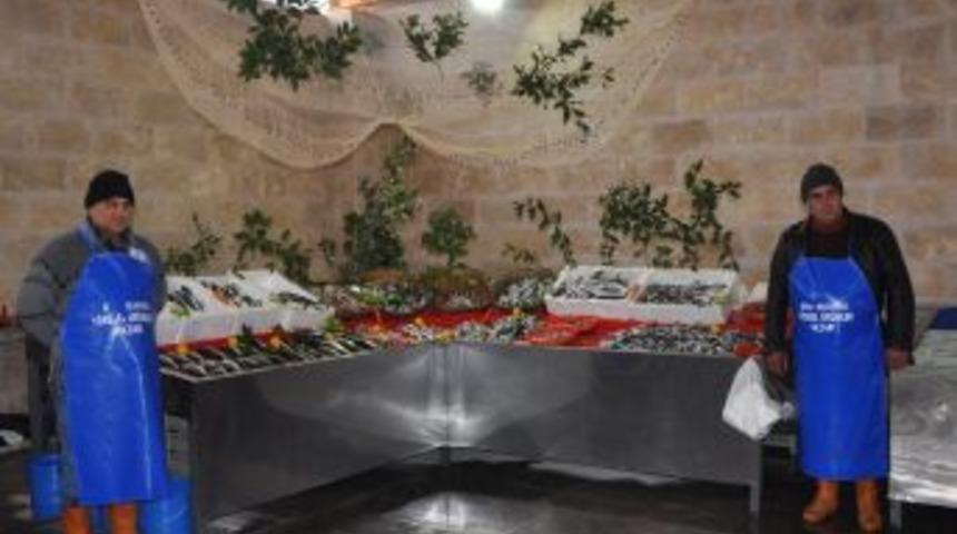 Erbaa'da Balık Pazarı A&ccedil;ıldı