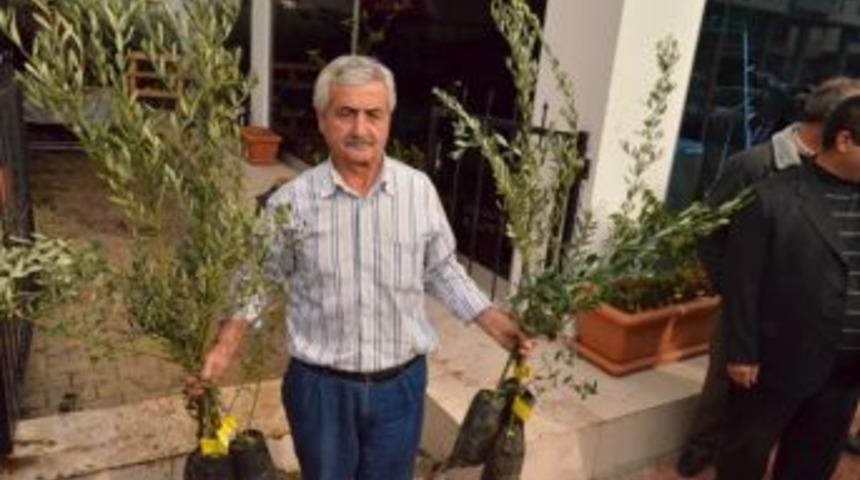 Ziraat Odası Zeytin fidanı ve bı&ccedil;ak dağıttı