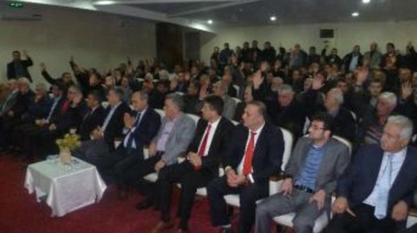 Ali Bektaş G&uuml;ven Tazeledi