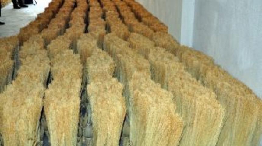 (&ouml;zel Haber) &lsquo;&ccedil;alı S&uuml;p&uuml;rgesi&rsquo; Teknolojiye Yenik D&uuml;şt&uuml;