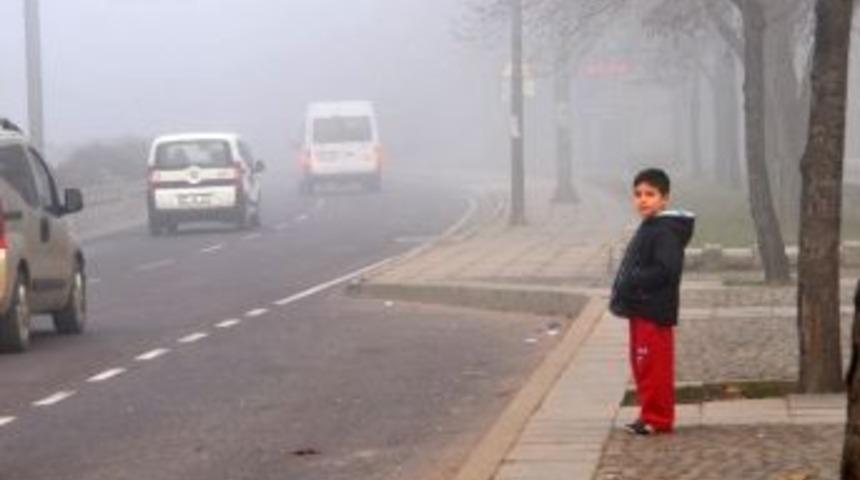 Yalova'da Sis Esareti