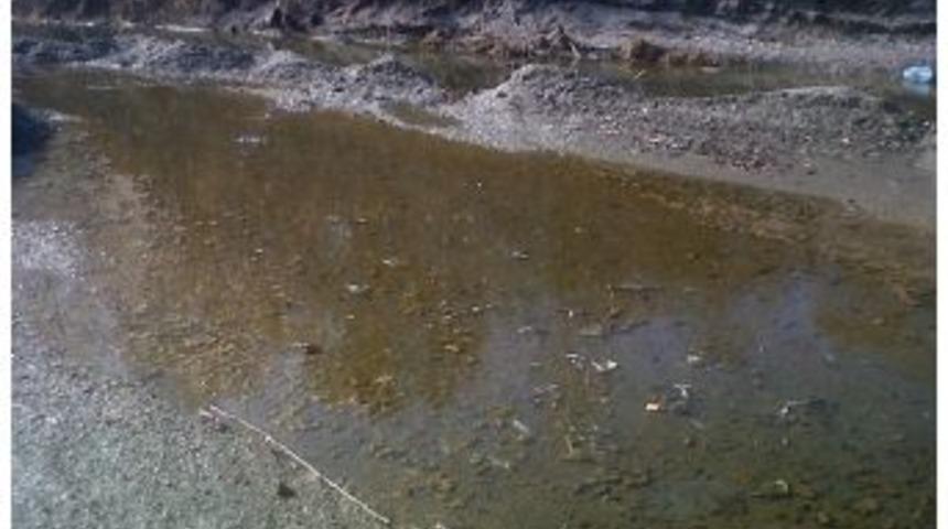 Sapanca G&ouml;l&uuml; İ&ccedil;in Meclis Araştırma &Ouml;nergesi Verildi