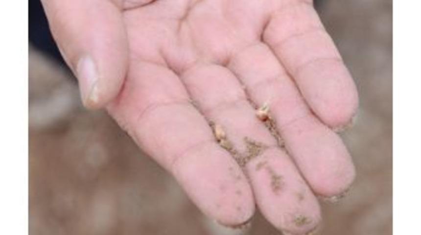 Aksaray&rsquo;da Kuraklık Tehlikesi