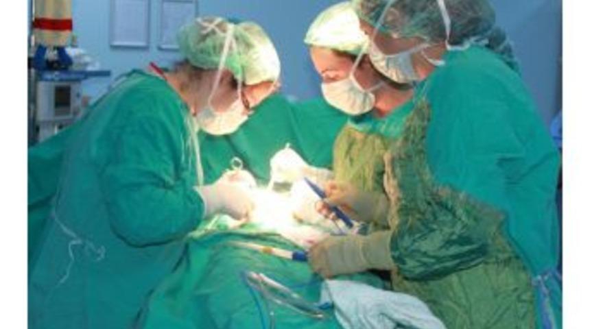 Bulantı Şikayetiyle Gitti, Midesinden 2 Kg Sa&ccedil; Yumağı &Ccedil;ıkartıldı