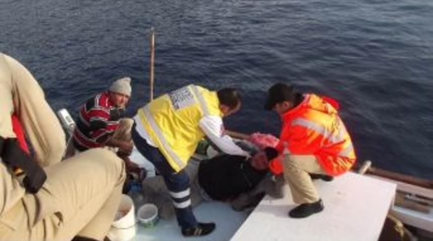 Yaralı Balık&ccedil;ıyı Sahil G&uuml;venlik Ekibi Kurtardı