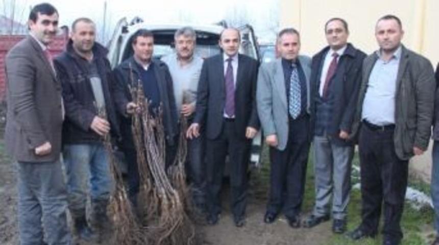 D&uuml;zce&rsquo;de Meyvecilik Destekleniyor