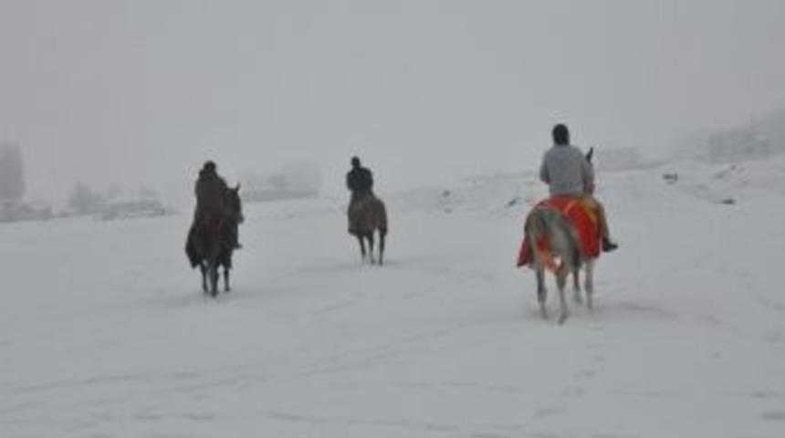 At Sırtında Ka&ccedil;ak Elektrikle M&uuml;cadele