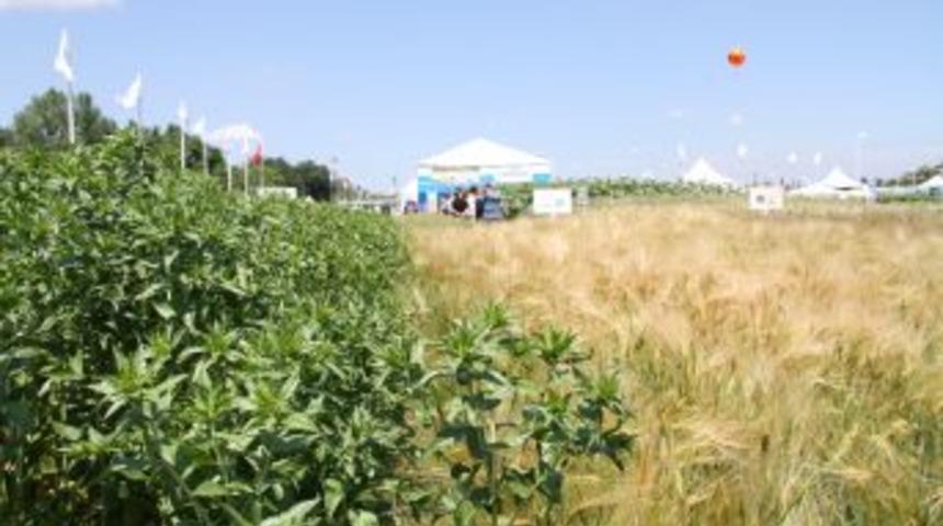 7 Etap Projeden 18 Milyon Lira Hibe Alan Bursa, 8. Etap I&ccedil;in Hazırlanıyor