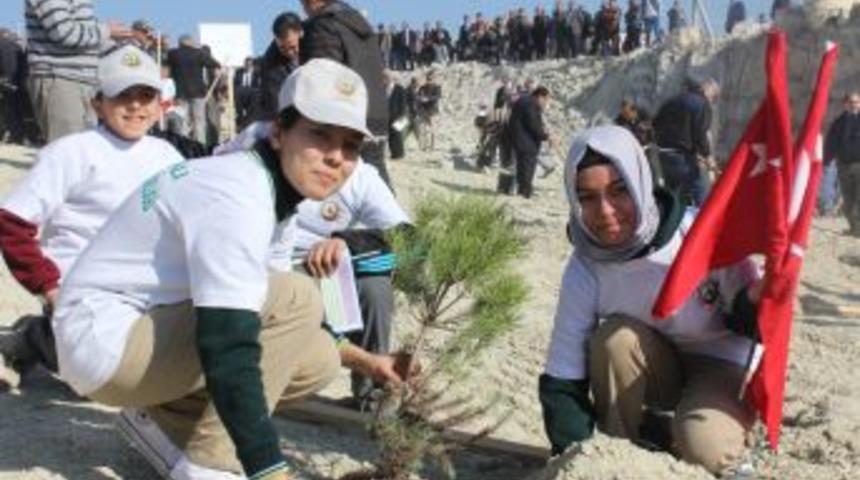 Adana&rsquo;da Son 10 Yılda 124 Milyon Ağa&ccedil; Dikildi