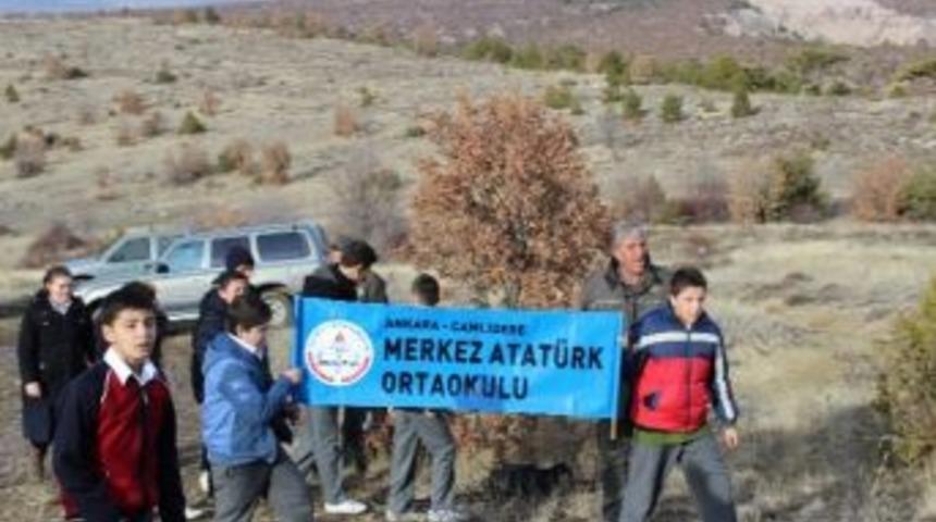 Yaban Hayvanlarına Yem Desteği