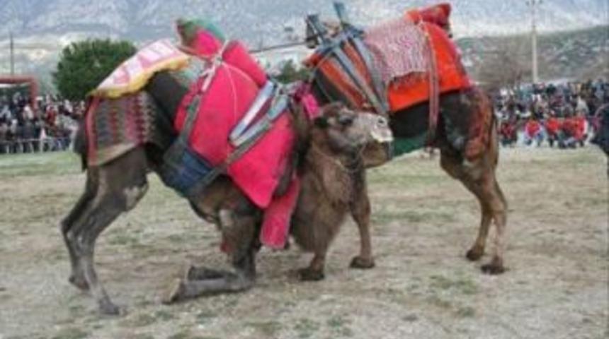 Develer Y&ouml;r&uuml;k K&uuml;lt&uuml;r&uuml; i&ccedil;in G&uuml;reşti
