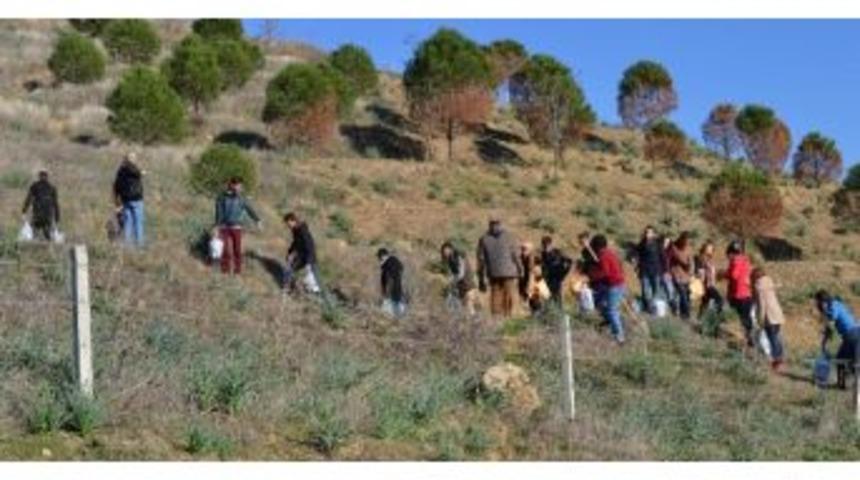Aydın&rsquo;da 250 Fidan Toprakla Buluşturuldu