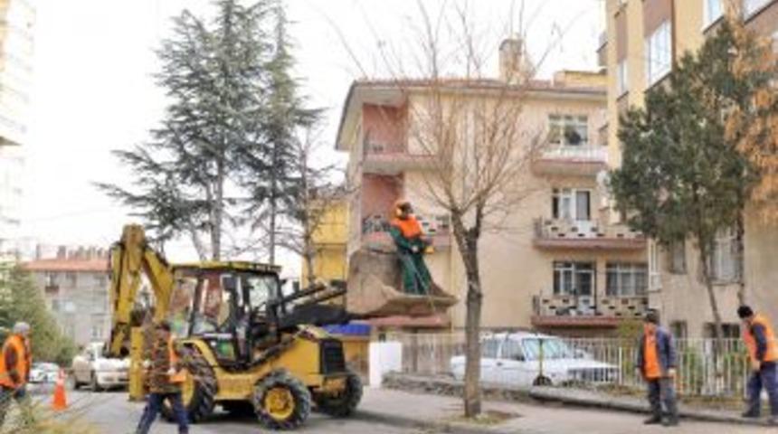 Mamak'ta Ağa&ccedil;lara Kış Bakımı