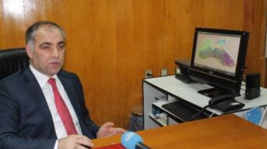 Hamsinin Hikayesi Yeniden Yazılıyor '