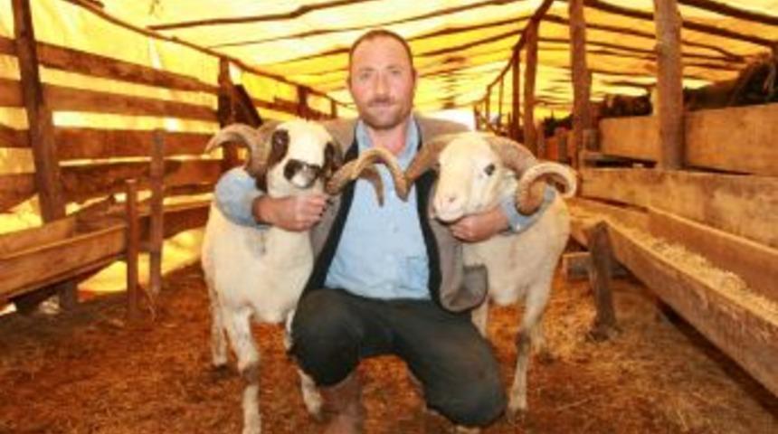 Bakanlık Projesi Kapsamında Halk Elindeki Hayvanlar Islah Edilecek