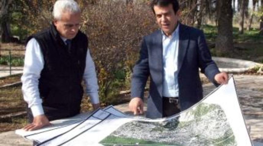 Vakıf Zeytinliği Projesi Hazır