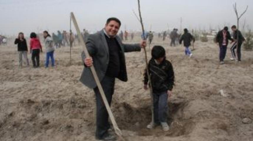 Karatay&rsquo;da 2014 Yılında Da Ağa&ccedil;landırma &Ccedil;alışmaları Devam Edecek